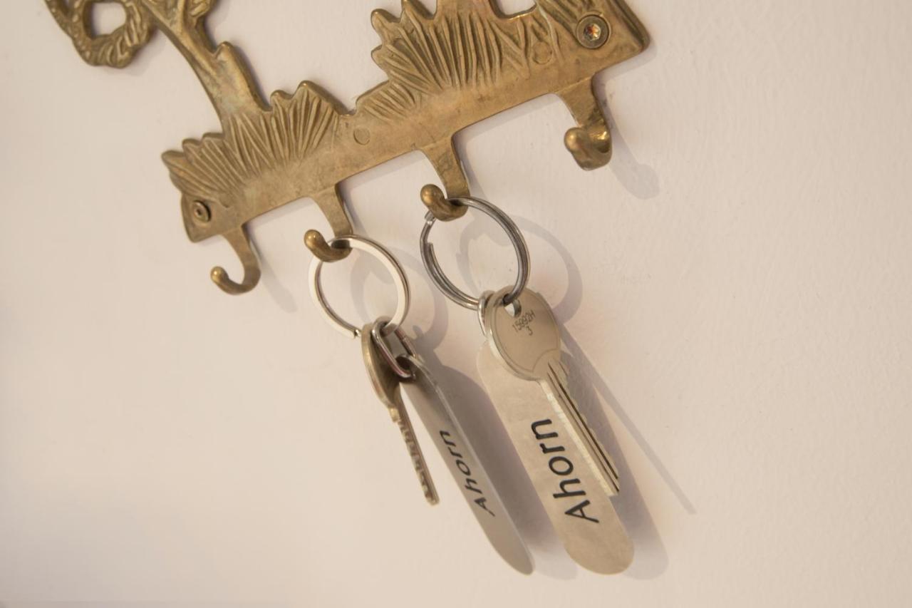 Appartement Schneeberger Zell am Ziller Eksteriør billede